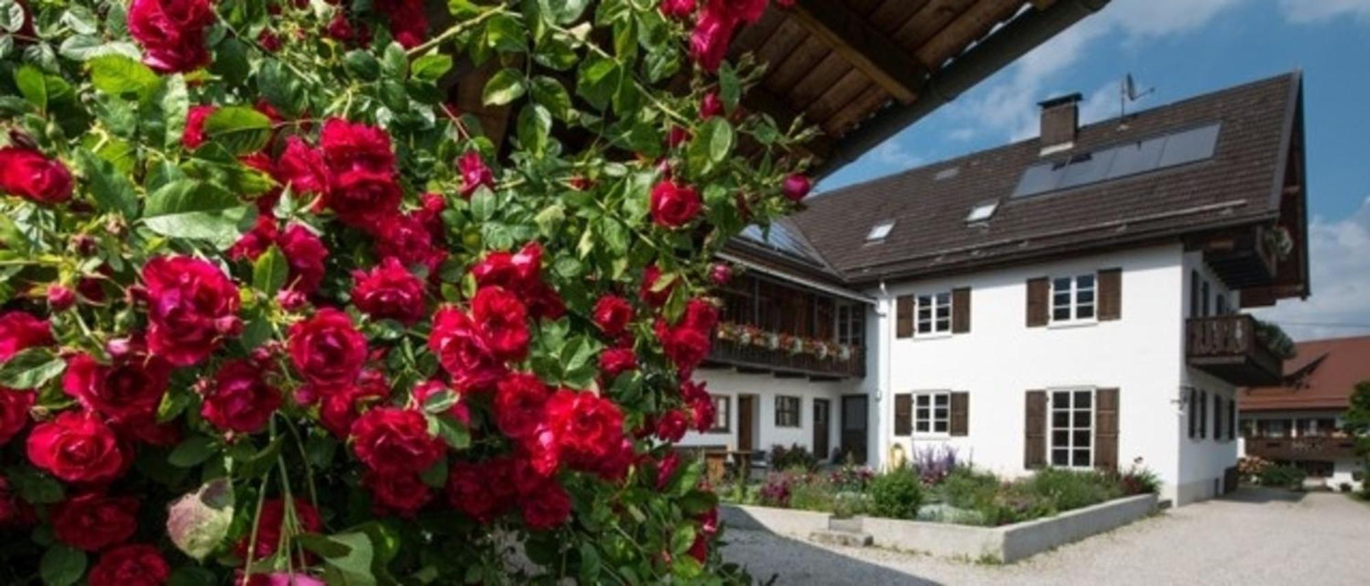 Ferienwohnung Lacherhof Seehausen am Staffelsee Exteriér fotografie