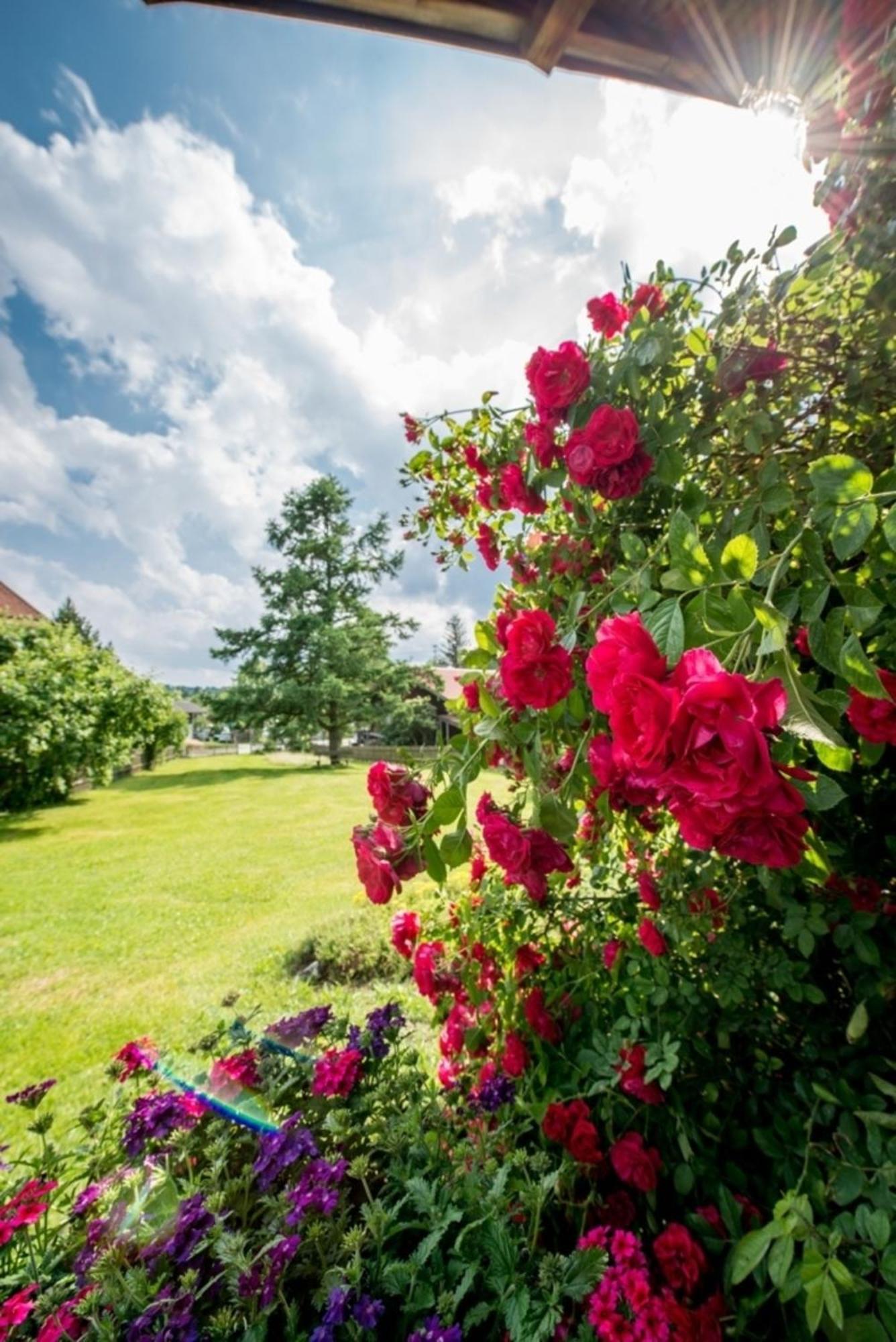 Ferienwohnung Lacherhof Seehausen am Staffelsee Exteriér fotografie